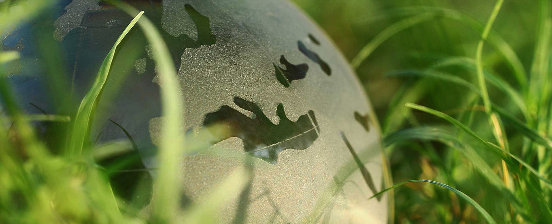 敦行致遠，超越夢想